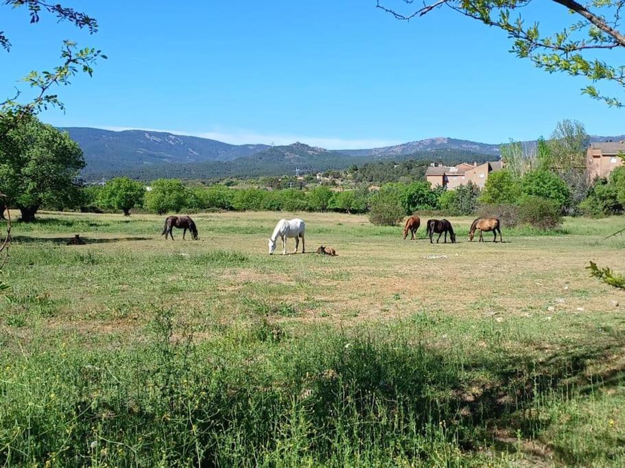 Apartamento El Puente Guadarrama Zewnętrze zdjęcie